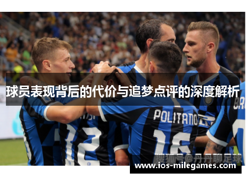 球员表现背后的代价与追梦点评的深度解析