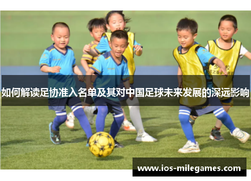 如何解读足协准入名单及其对中国足球未来发展的深远影响