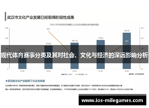 现代体育赛事分类及其对社会、文化与经济的深远影响分析