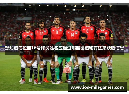 想知道乌拉圭16号球员姓名应通过哪些渠道和方法来获取信息