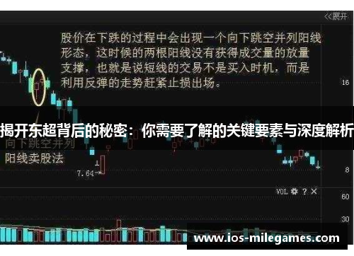 揭开东超背后的秘密：你需要了解的关键要素与深度解析