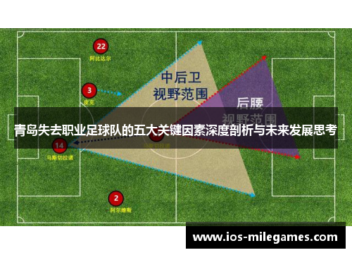 青岛失去职业足球队的五大关键因素深度剖析与未来发展思考