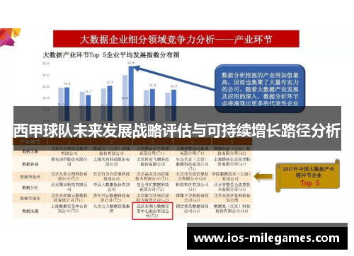西甲球队未来发展战略评估与可持续增长路径分析 西甲球队未来发展战略评估与可持续增长路径分析