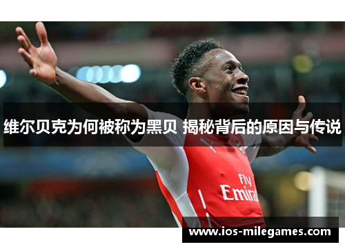 维尔贝克为何被称为黑贝 揭秘背后的原因与传说 维尔贝克为何被称为黑贝 揭秘背后的原因与传说