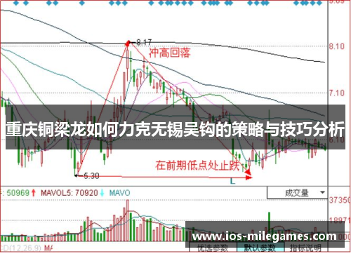 重庆铜梁龙如何力克无锡吴钩的策略与技巧分析
